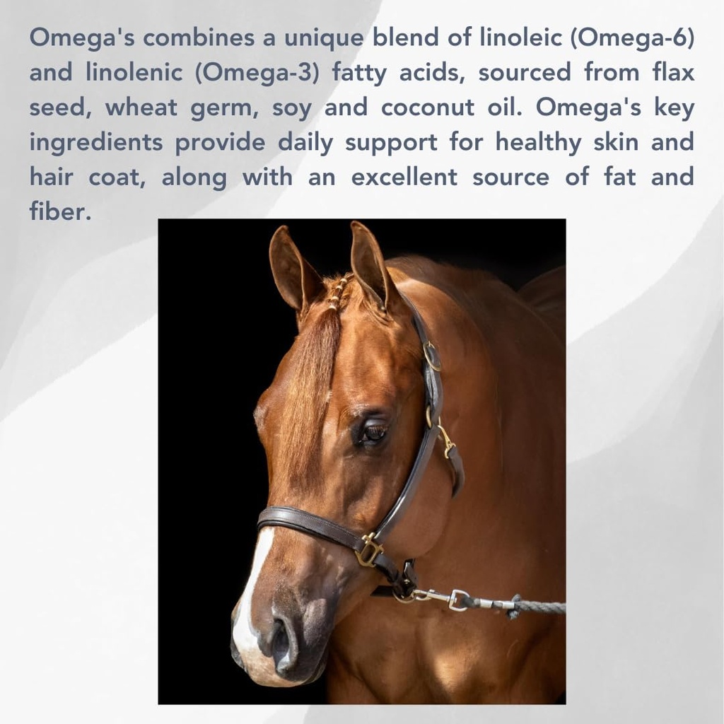 Omega's (25lb) Healthy Coat Support for Horses