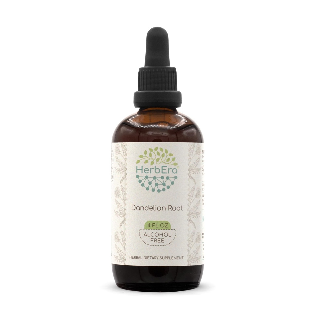 HerbEra Dandelion Root B120 Wyciąg ziołowy wolny od alkoholu Tincture, Superkoncentrat Dandelion (Taraxacum Officinale) Suszony Root (4 fl oz)