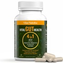 Vital Gut Health 4in1 Formuła z Jabłkiem Cydr Ocet, Prebiotyki i Probiotyki, Enzymy Digestive dla silnego wsparcia odporności i kompletny Gut i wsparcia trawienia