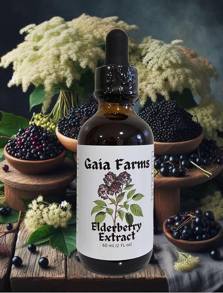 Elderberry Tincture, 2oz Nether124; Organic Nether124; Non- GMO Nether124; Winter Immune Booster!