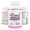 Max Absorpcja USDA Organic Milk Thistle Potent 5: 1 Concentrated Extract (2000mg Strength) & Organic Dandelion Root Aboot 124; Silimarin Antioksydant Flavonoid 124; Licznik (Pack of 1))