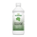 Dynamiczne zdrowie Chlorofil ciecz Peppermint 100 mg, Chlorofiliny miedzi sodowej z Alfalfa i liście morwy, Oczyszczanie roślin i ododór, Nie dodawany cukier, 16 Fl Oz