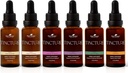Plant Therapy Organic Tinctures Beginner Set 30 ml Każdy z Organic Ashwagandha, Azjatycki Ginseng, Echinacea Mieszanka, Elderberry, Lemon Balm & Turmeric