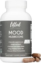 Grzyby nastrojowe - Lion 's Mane, Reishi, Chaga, Turcja Ogon, Maitake - Energia, Focus, Stress Relief