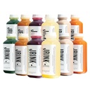 JRINK przez Purée Sok pośredni Cleanse, Napoje detox na zimno z Organic 2 Day- Zdrowy sok roślinny i owocowy, Mrożone Sok prasowany Cleanse, 12 butelek, 16oz każdy