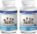 PET SUPPLEMENTY & NUTRITION LLC Nietrzymanie moczu u psów Mężczyzna - Dog Urynary Tract Support - Naturalne rozwiązanie żurawinowe - Bladder Health - Vet Recommended - max Żurawina dla psów - 2 Butelki (180 Potrawy)