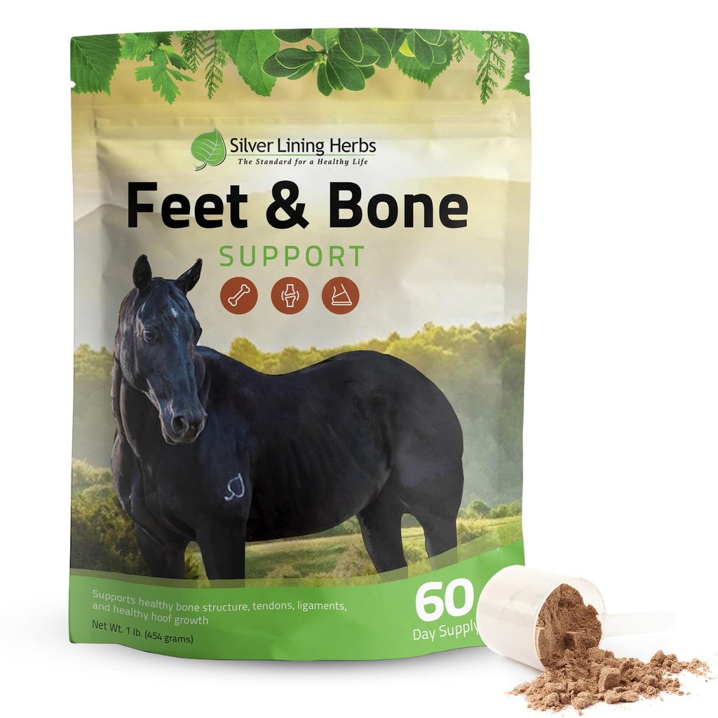 Silver Lining Herbs Feet & Bone Supplement Horse Supplement Powder Natural Tendons, Ligaments & Surrounding Tisses & Hoof Supplement for Horses - Normal Limbs Circulation Horse Care Supplies - 1 LB