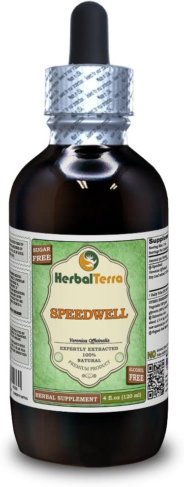 Speedwell (Veronica Officinalis) Glycerite, Organic Dried Leaves Alcohol-Free Liquid Extract (Brand Name: HerbalTerra, Proudly Made in USA) 4 fl.oz (120 ml)