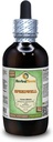 Speedwell (Veronica Officinalis) Glicerite, Organic Dried Leaves Alcohol Free Liquid Extract (Nazwa marki: HerbalTerra, Proudly Made in USA) 4 fl.oz (120 ml)