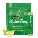Waterboy Workout Hydration 124; 2,960mg Sugar Free Electrolyte Powder Packets