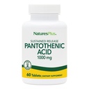 NaturesPlus Kwas pantotenowy, Trwałe uwalnianie - 1000 mg, 60 Tabletki - Wysokiej mocy witamina B5 Suplement - wegetarianin, Gluten Free - 60 Służenie