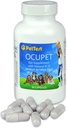 Ocupet Advanced Vision and Eye Health Supplement for Medium to Large Dogs Packed with Natural B12, Grape Seed Extract and Lutein to Support Animals with Diabetes or Eye related Conditions- 90 Capsules