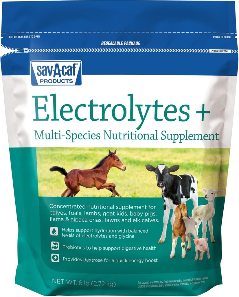Sav- a- Caf Electrolytes Plus ™ Supplement Equipment 124; 6 Funt (6 LB)