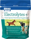 Sav- a- Caf Electrolytes Plus ™ Supplement Equipment 124; 6 Funt (6 LB)