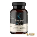 TERRA ORIGIN Healthy Gut Reset PM XI124; 60 Kapsułki wegetariańskie XI124; Naturalny suplement do pomocy w uśpieniu i budzeniu cyklów 124; GABA, L- Tryptofan, Melatonina, L- glutamina, Licorice Root, Slippery Elm Root