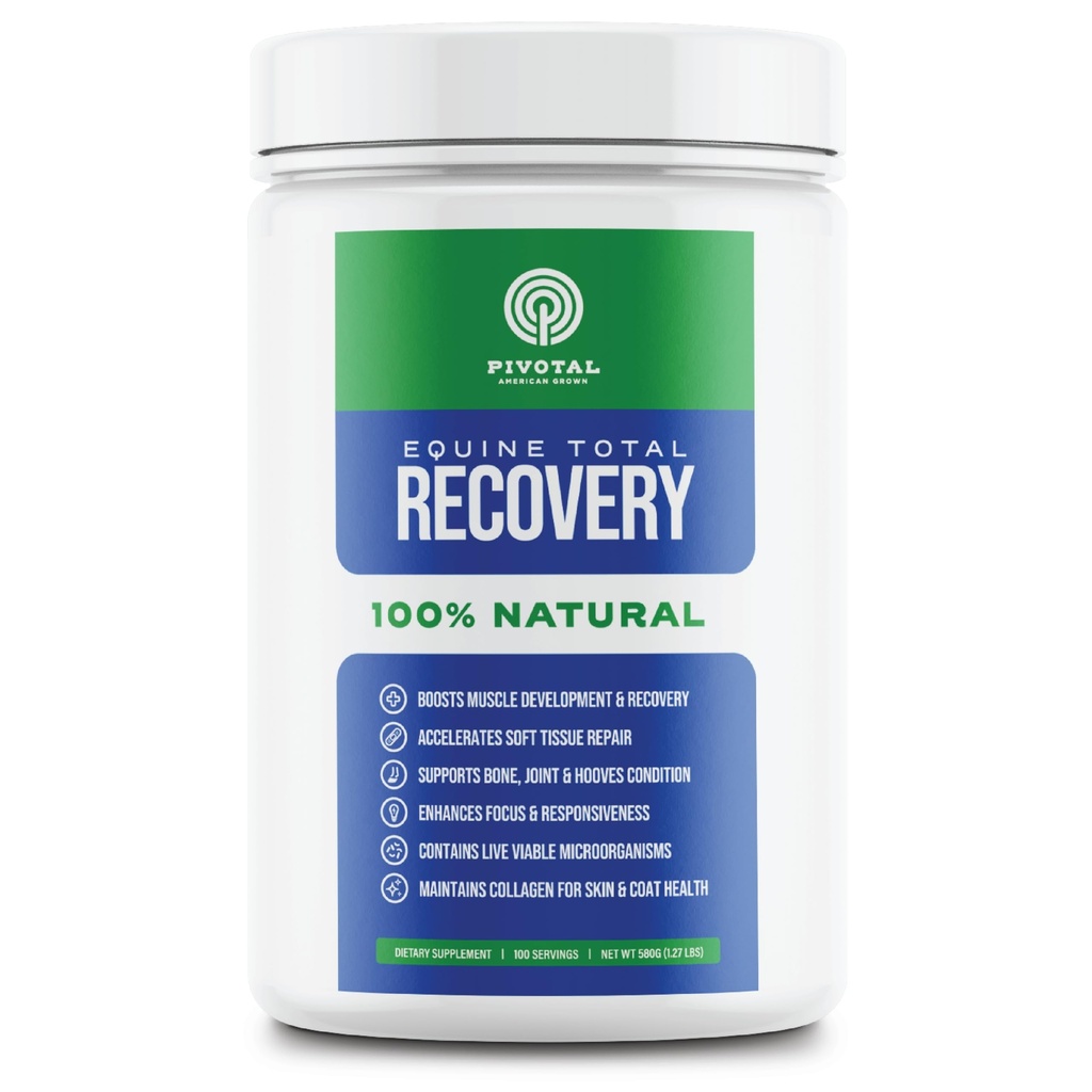 Kompensacja koni do całkowitego odzysku - 9 Acidów koni plus Probiotyki dla koni - 100% Natural- No Added Sugar, No Soy, No Fillers - Coon Joint Supplement (100 Sług)