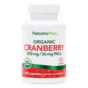 NaturesPlus Organic Cranberry 500 mg - 60 Kapsułek - Pomaga promować zdrową trakturę moczu - USDA Certified Organic, Wegan, Gluten Free, Non-GMO - 30 Służenia