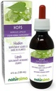 Naturalma Chmiel (Humulus lupulus) strobilus lub Cone (Kobieta kwiaty) Napoje bezalkoholowe - 4 fl oz Liquid Extract in Drops - Herbal Supplement - Vegan