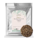 Starwest Botanicals Burdock Root Organic - Naturalne źródło przeciwutleniaczy, Loose Herb do herbaty, Ryż, Zupa, & Stews, Cut & Sifted, Certified Kosher, Non-GMO - Bulk 1 lb Bag