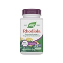 Natural 's Way Rhodiola Premium Extract, 250 mg na porcję, Supports Energy & Cognitive Performance *, Adaptogenetic Herb *, Non-GMO Project Verified, Vegan, Gluten Free, 60 kapsułki (Packaging May Vary)