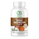 Reishi Mushroom Capsules 124; 60 Vegan Adaptogen Kapsułki do wsparcia immunologicznego & Relief stresu 124; USDA Certified, Non-GMO, Natural Wellness Supplement