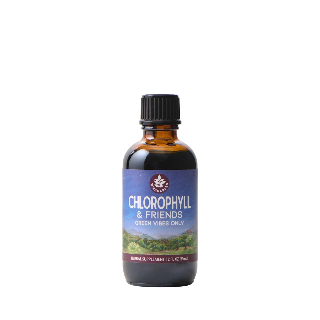 WishGarden Herbs Chlorophyll & Friends - Chlorophyll płynne krople z Nettle Leaf, Święty Basil, Moringa Leaf & Peppermint Leaf, Wspiera zwiększoną energię, Zdrowy immunologiczny, & Response stres, 2oz