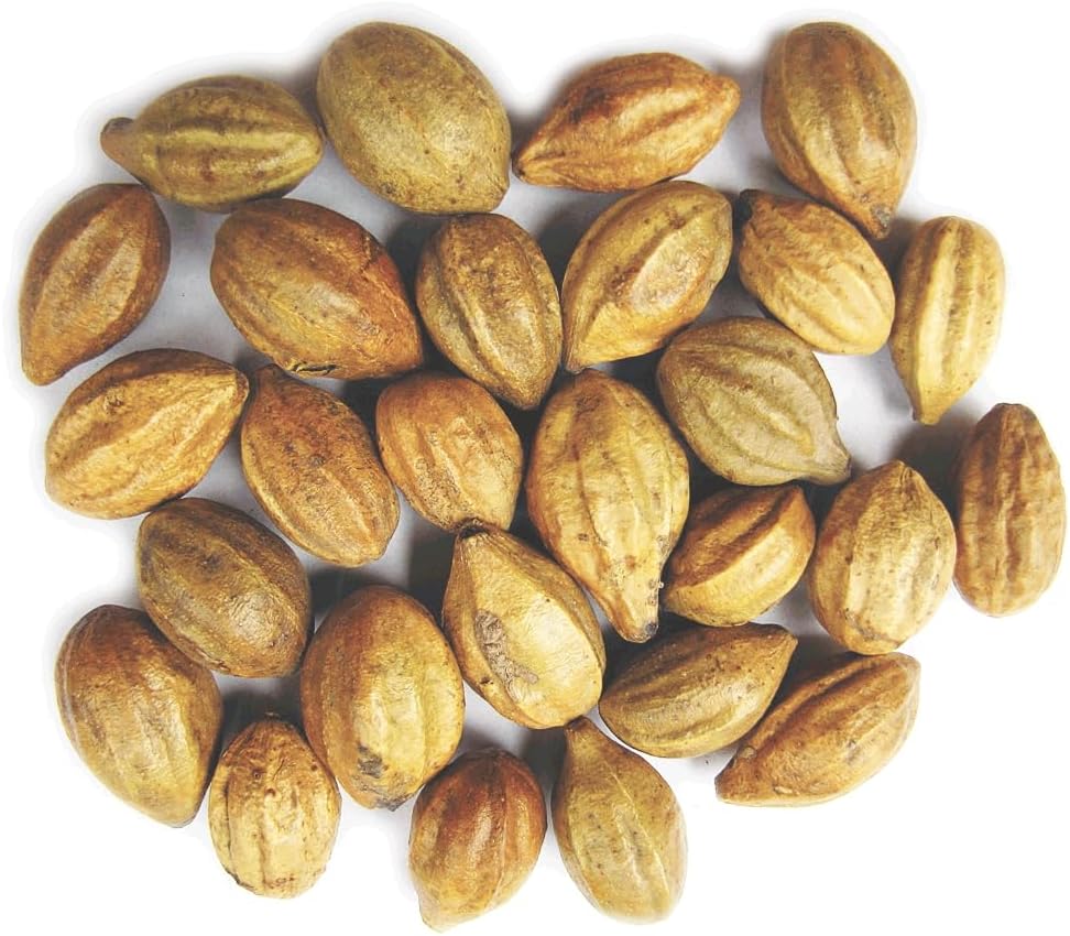 Naturals Terminalia Chebula behind 124; Kadukkai behind 124; Harad behind 124; Inknut behind 124; Haritaki Indian Origin Herbs (200g (7 oz))