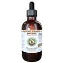 Wyciąg bez alkoholu Brahmi, płyn organiczny Brahmi (Bacopa Monnieri) Cały suszony glicerol ziołowy Hawaje Pharm Natural Herbal Supplement 2 oz