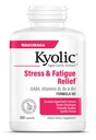 Kyolic Aged Garlic Extract Formula 101, Stres i Zmęczenie Relief, 300 Kapsułki.