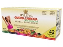 Herbata HYLEYS Garcinia Cambogia Zielona herbata z rozdrobnionych smaków - 42 torby herbaty (12 Pack - 504 torby herbaty Razem)