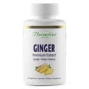 Paradise Herbs Premium Ginger Extract for Digestive Health, Super Potent, Ultra Pure, Wegan, Non-GMO, Gluten Free, 60 Kapsułki wegetariańskie