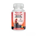 Mieszanka proteinowa dla kurczaka koguta - Proteina a Base de Suero de Leche y Albumina de huevo para Gallos 100 tabletas