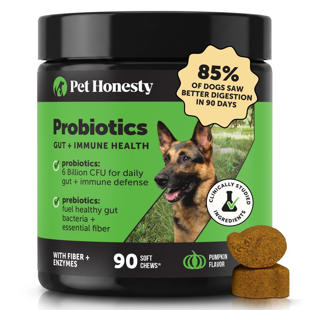 Probiotyki Szczerości Pet dla psów dla Okazjonalnej Diarrhea & Bowel Support, Enzymy z Prebiotyki dla Gut Health dla psów, Immunity Health & Itch Relief (Dynia 90 ct)