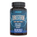 Suplement Turkesterone (500mg) Ajuga Turkestanica Extract, Poprawa Lean Muscle Mass, Ćwiczenia, Poprawa Odzyskiwania Mięśnie z naszej technologii absorpcji Softgel (60 Softgels)