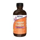 Teraz suplementy, CoQ10 Płyn, 100 mg na łyżeczkę, ze współenzymem B Witaminy, Sweetened z Xylitol, 4- Ounce