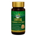 Zandu Livital Tablets, 100% Ayurvedic Składniki, Chroni wątrobę przed różnymi hepatotoksynami 124; Korzystne w tłuszczu wątroby 124; Poprawia trawienie i Appetite & Aids w wątroby Detox