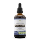 Tajemnice Tribe Muira Puama Tincture-Free Liquid Extract, Muira Puama (Ptychopetalum Olacoides) Dried Bark (4 FL OZ)