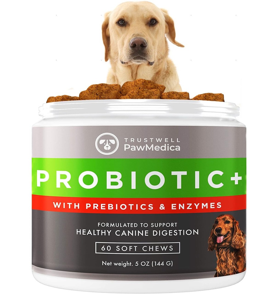 PawMedica Probiotyki i Enzymy Żywieniowe, Probiotyki dla psów Made in USA, Probiotyczne żucia dla psów, Prebiotyki i Probiotyczne Dog Digestive Support, Probiotic Treats - 60 Psie Probiotyczne żucia