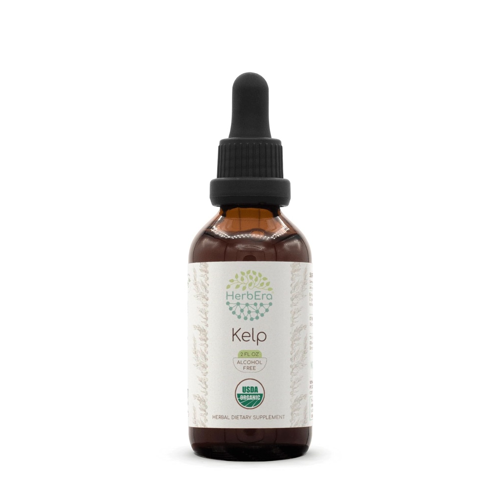 HerbEra Kelp B60 USDA Organiczne nalewki 124; Ekstrakt wolny od alkoholu, Wysokomocne Krople ziołowe 124; Certified Organic Kelp (Ascophyllum nodosum) Suszona roślina (2 oz)