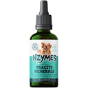 Nzymes ® Tracite Minerals for Pets - Kwas Fulvic, Kwas Humiczny i Żelazopochodne Krople mineralne i Amino Acids for ATP Energy, and Digestive Health - Made in USA