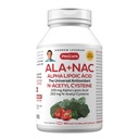ANDREW LESSMAN ALA + NAC Alpha Lipoic Acid with N- Acetyl- Cysteine 360 Capsules - Ultra- High Potency, Anti- Oxidant Support for Nerveness System, Heart, Brain, Wątroba, Nerki, Płuca, Energia. Brak dodatków