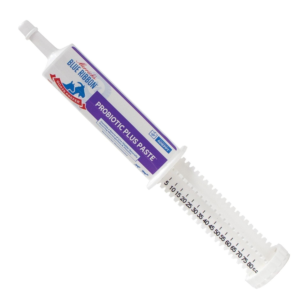 Vet 's Plus Bomac Kozy Prefer Probiotic Plus Paste Tube Antibiotic Therapy 80cc
