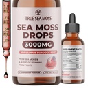 TrueSeaMoss Irish Sea Moss Drops - 5X Stronger Than Sea Moss Gel - 92 + Essentials Minerals - z Spirulina Powder, Burdock Korzeń i Czarny Kmin - 2 Fl Oz (60ml) - Truskawka Flavor