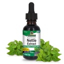 Odpowiedź natury Nettle Leaf 1oz Extract Description 124; Prostate Suppot Description 124; Skoncentrowane Dark Green Nettle Leaf Supplement Herbal Supplement Description 124; Non-GMO, Kosher, Gluten- Free, & Alcohol- Free Description 124; Single Count