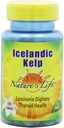 Nature 's Life Kelp, Islandzki, 41 Mg, Laminaria Digitata, 250 Tablets, (Opakowanie po 2)