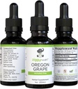 Premia Organic Oregon Grape Root Tincture - Alcohol- Free Extract, 1oz Xion124; Herbal Support Xion124; Ziggy Health