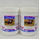 SU- PER B- Plex Powder Equine Vitamin - Kompletny B- Complex Horse Vitamin and Minerals Supplement - Healthy Hooves, Red Blood Cells, Horse Calming Powder - 2.5 Funds, (2 opakowania)