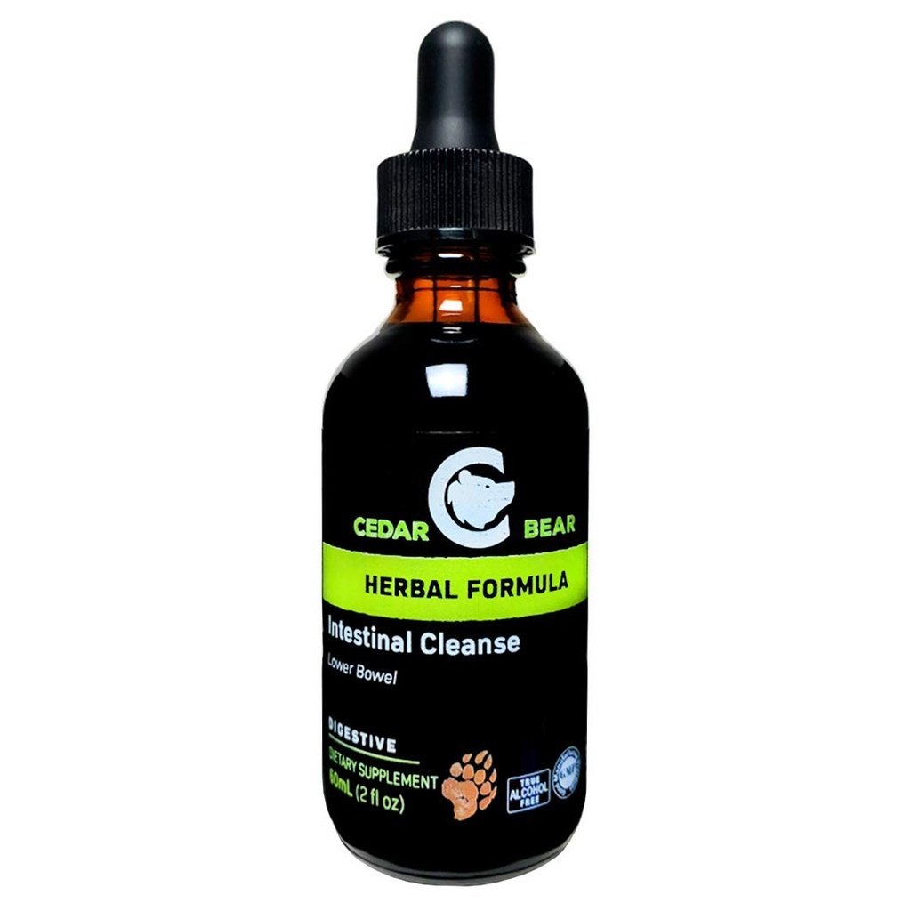 Cedar Bear Instinal Oczyść płynny suplement ziołowy, który zmniejszy środowisko systemu trawiennego, Dopuszczając Flower Fora do Flourish 2 Fl Oz