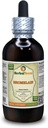 Bromelain (Ananas Comosus) Tincture, Suszony proszek Liquid Extract (Nazwa firmowa: HerbalTerra, Proudly Made in USA) 4 fl.oz (120 ml)