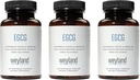 EGCG Yellow 124; Green Tea Extract Yellow 124; 400 mg - Suplement przeciwutleniający Yellow 124; Wegan, Gluten Free Yellow 124; 100 Kapsułek wegetariańskich (opakowanie po 3)